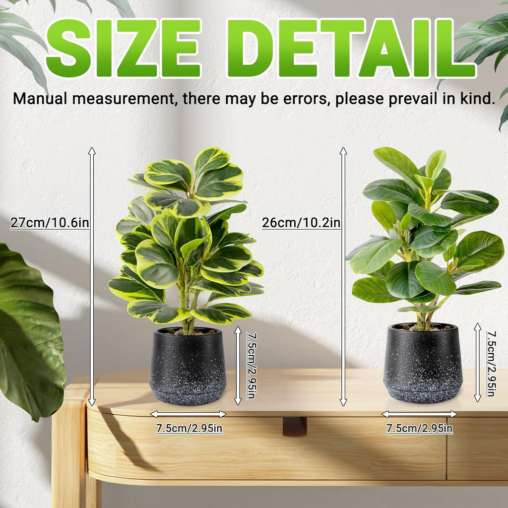 2 Pack Faux Peperomia Plants in Pots – 11" Small Artificial Greenery, Evergreen & Maintenance-Free for Home or Office